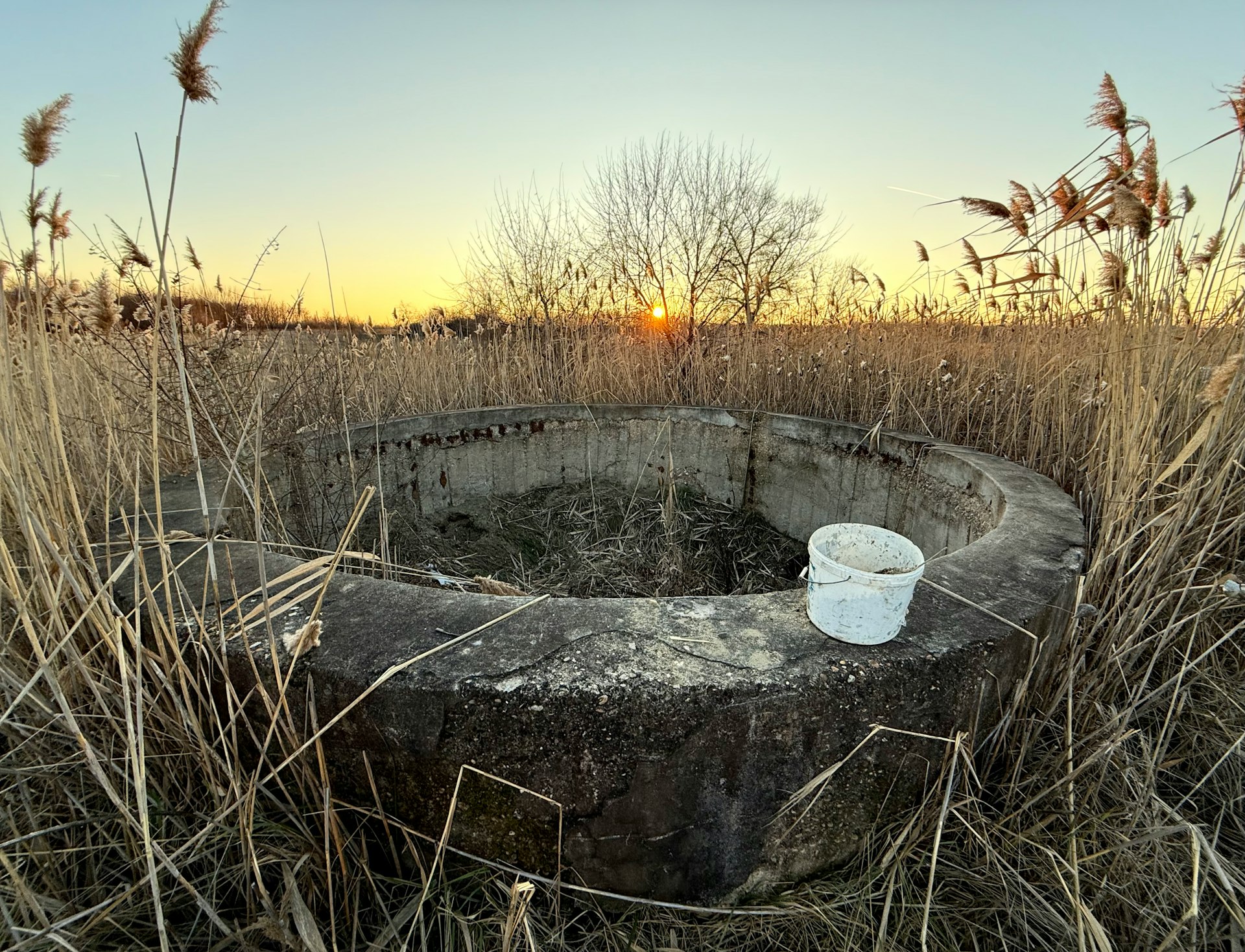 A cup sitting on top of a stone in a field