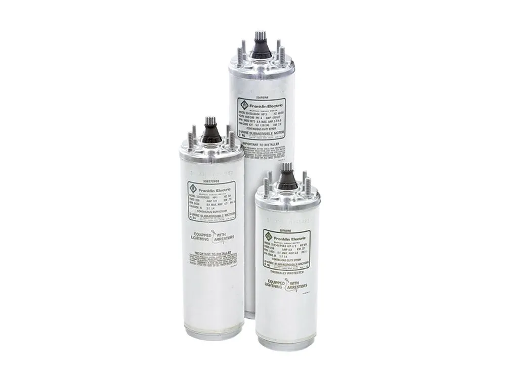 4-Inch Encapsulated Motor